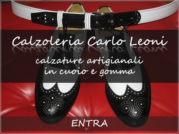 entra nel sito